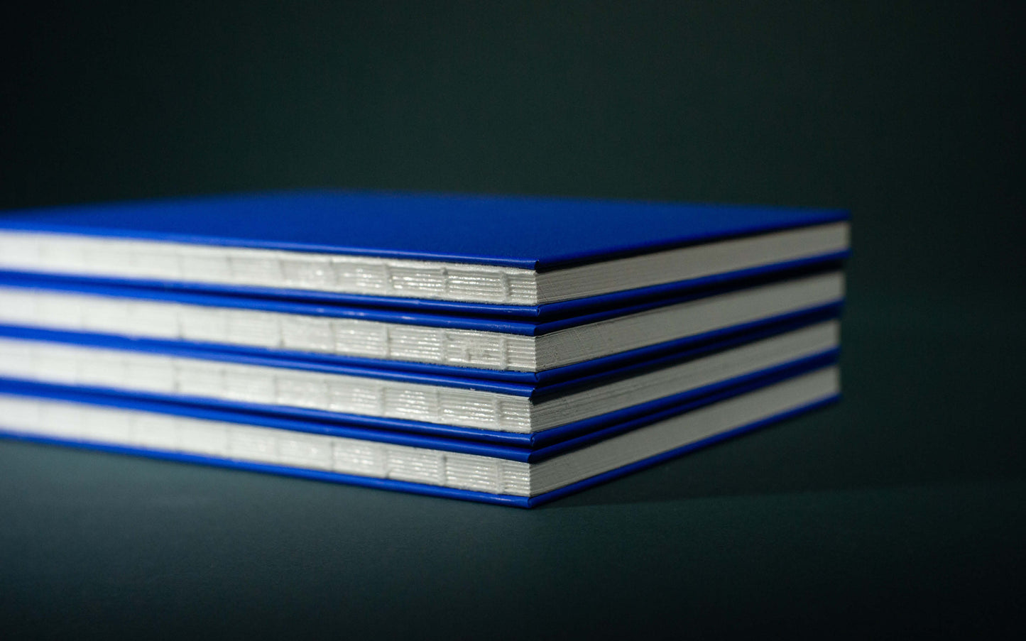 Plentitude Blue Newsprint Sketch Book