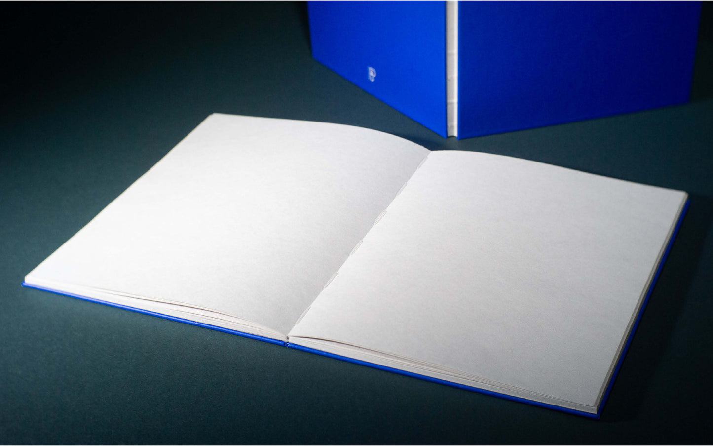 Plentitude Blue Newsprint Sketch Book
